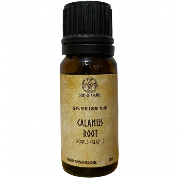 Calamus Root - Pure Essential Oil