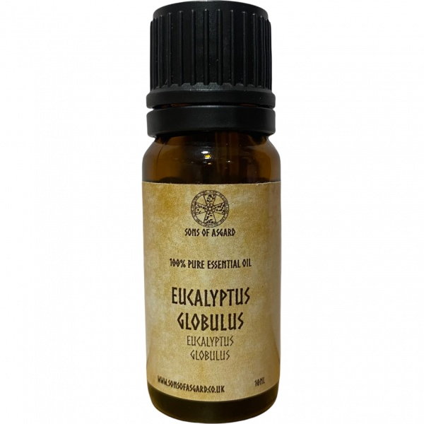 Eucalyptus Globulus - Pure Essential Oil