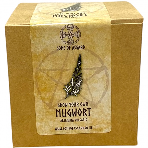 Mugwort - Mini Grow Box