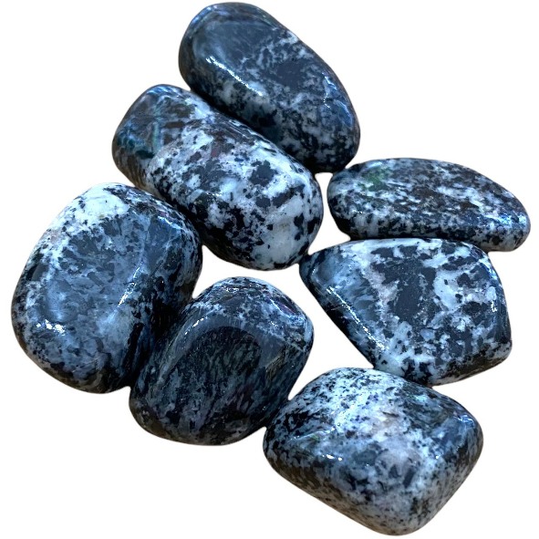 Orbiculite - Tumblestone