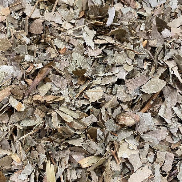 Ash Leaves