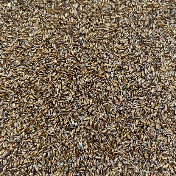 Black Psyllium Seeds