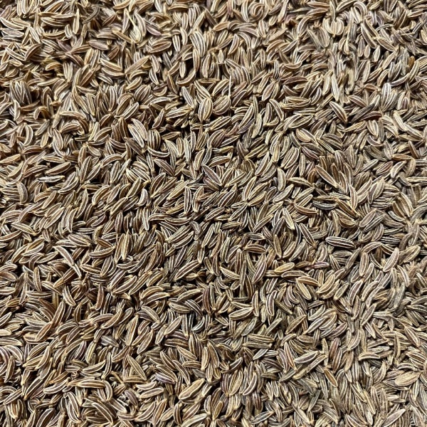 Caraway Seed