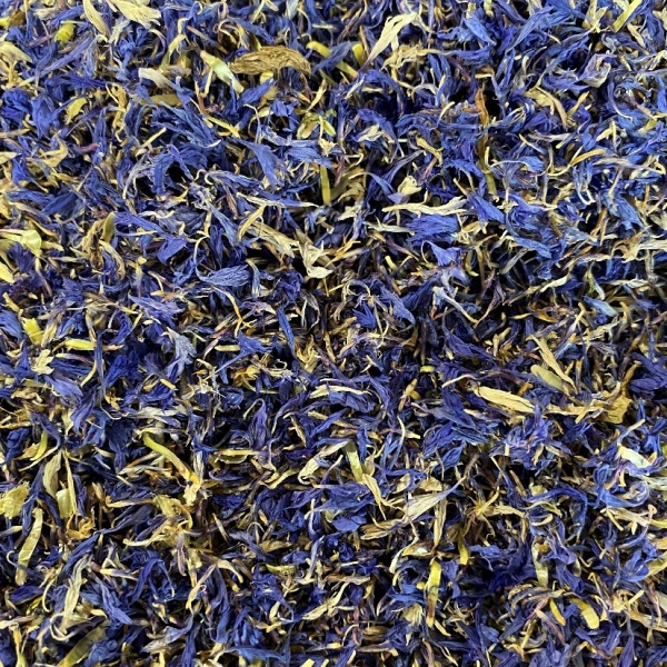 Cornflower Petals - Blue