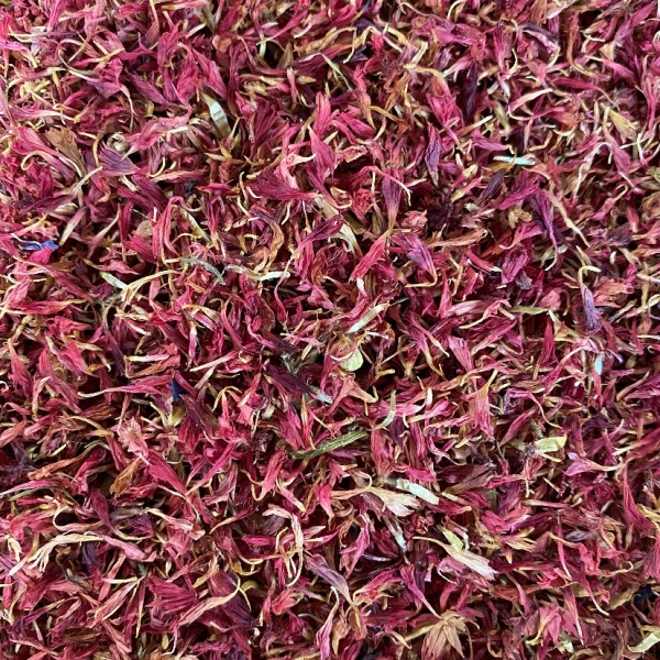 Cornflower Petals - Deep Pink