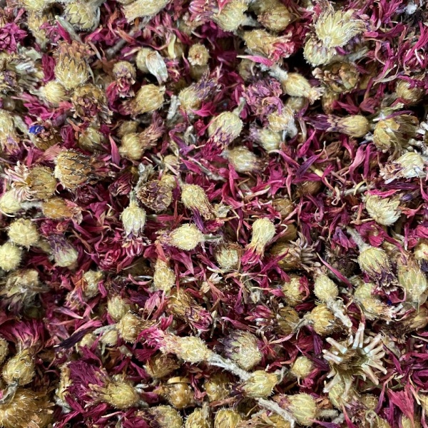 Cornflowers - Deep Pink