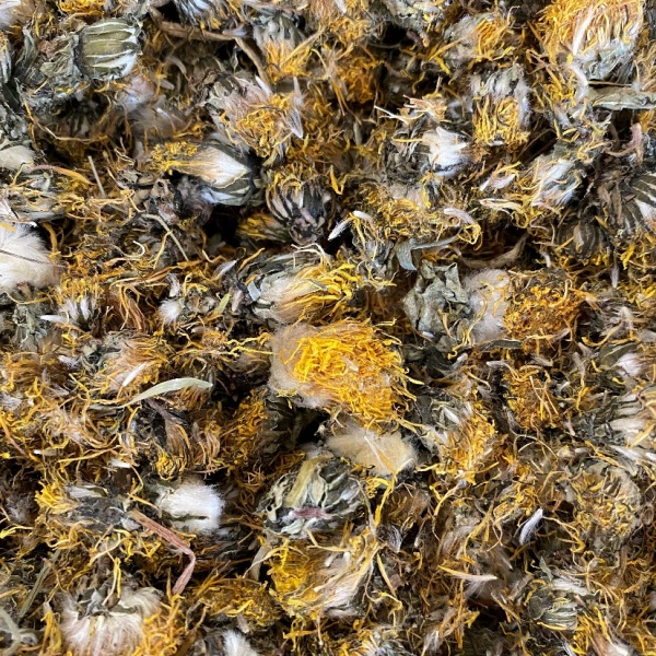 Dandelion Flowers