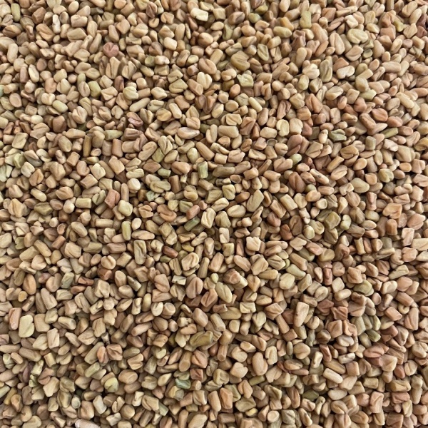 Fenugreek Seeds