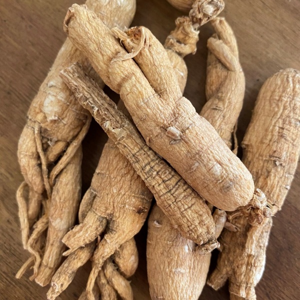 Ginseng - Red