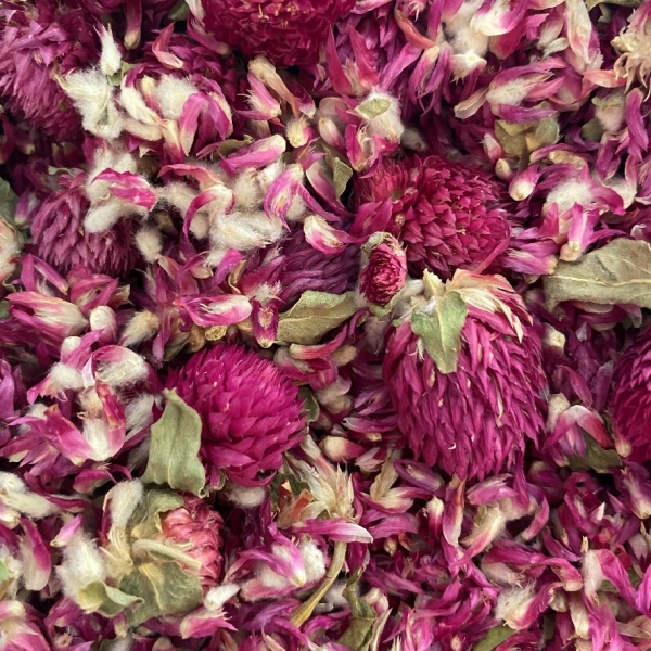 Globe Amaranth - Pink