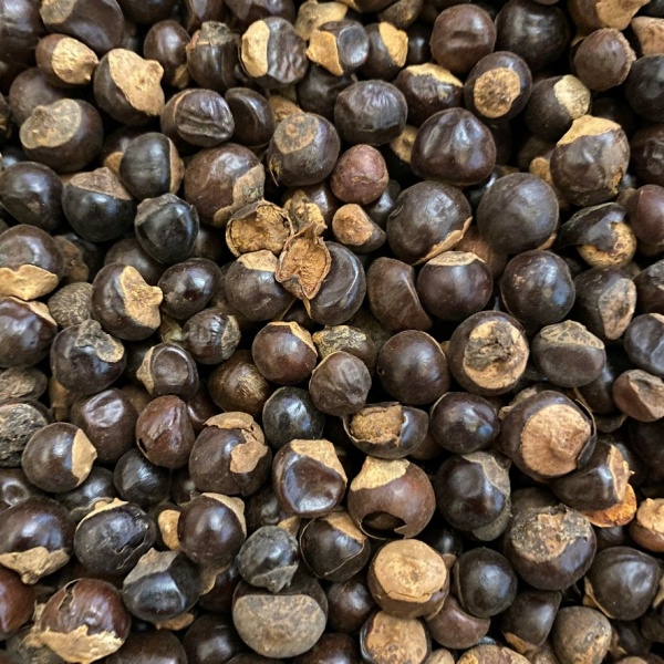 Guarana Seed