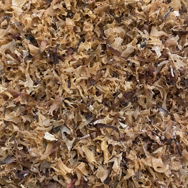 Irish Moss