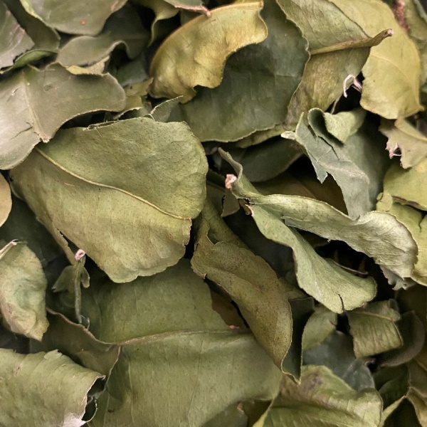 Kaffir Lime Leaves