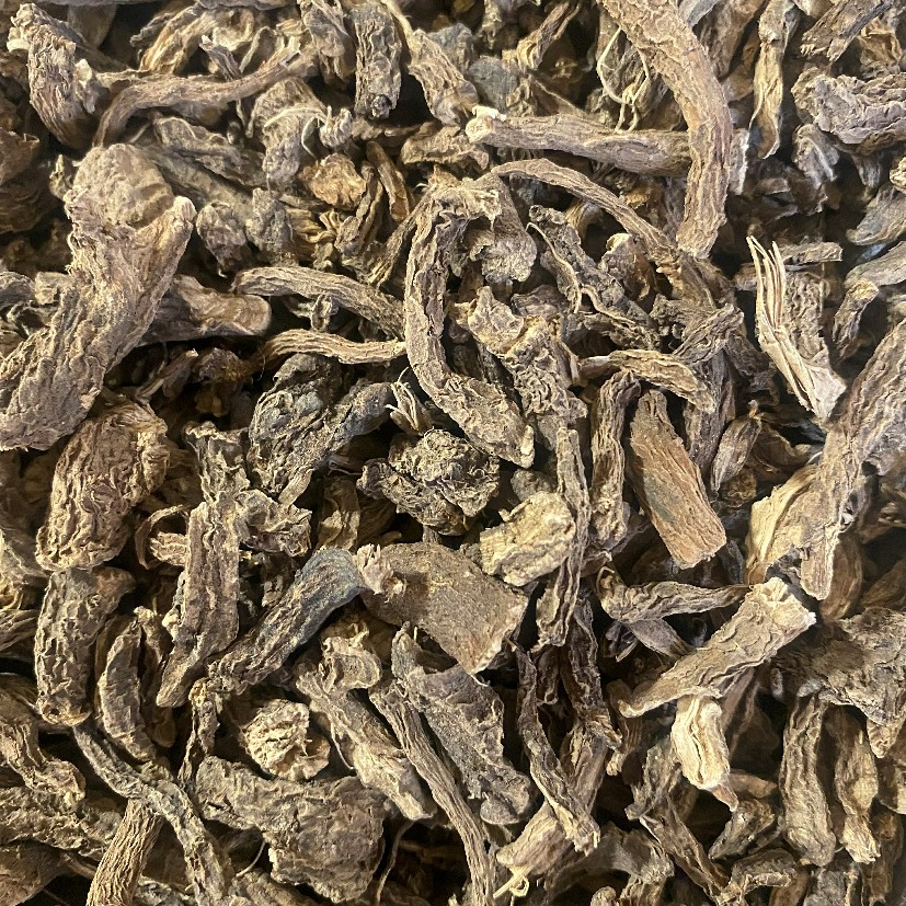 Coleus Root - Sons of Asgard