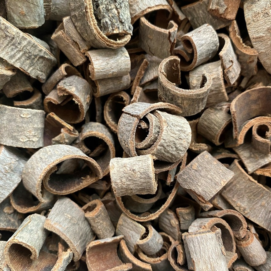 Magnolia Bark Sons of Asgard