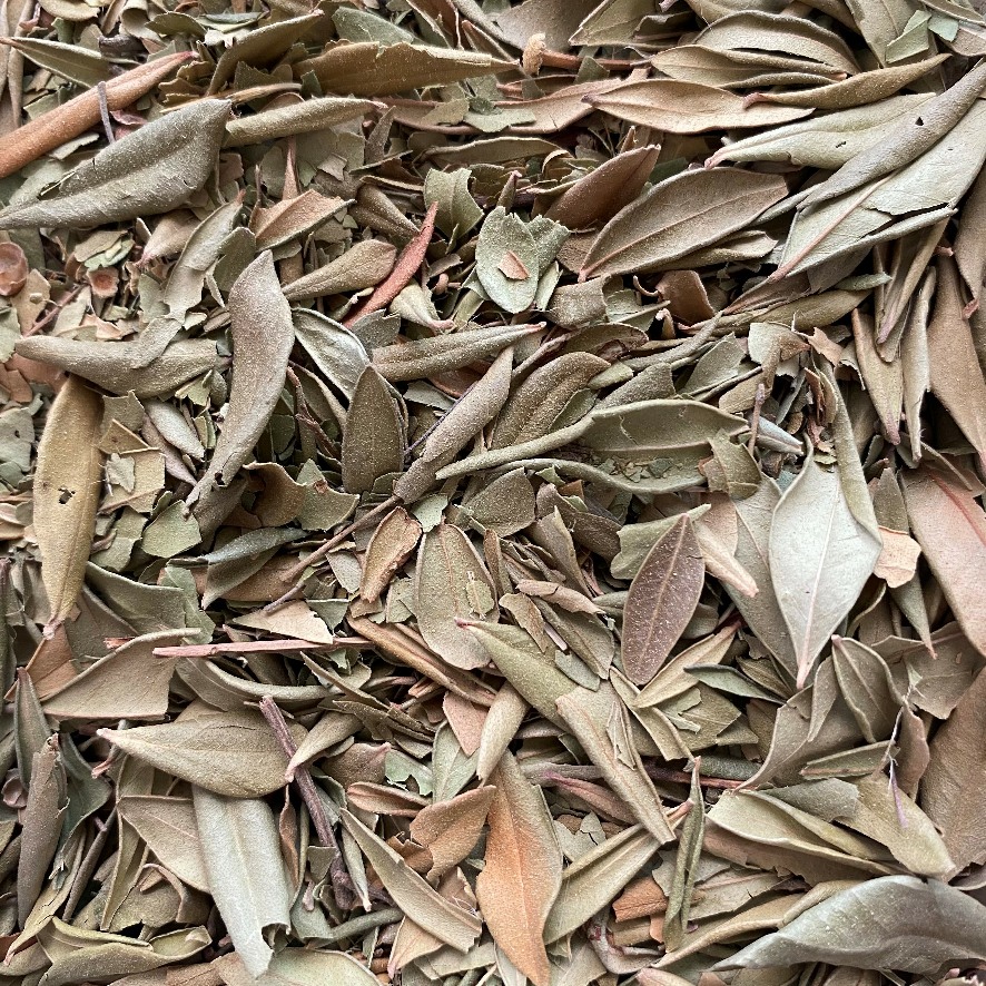Myrtle Leaves