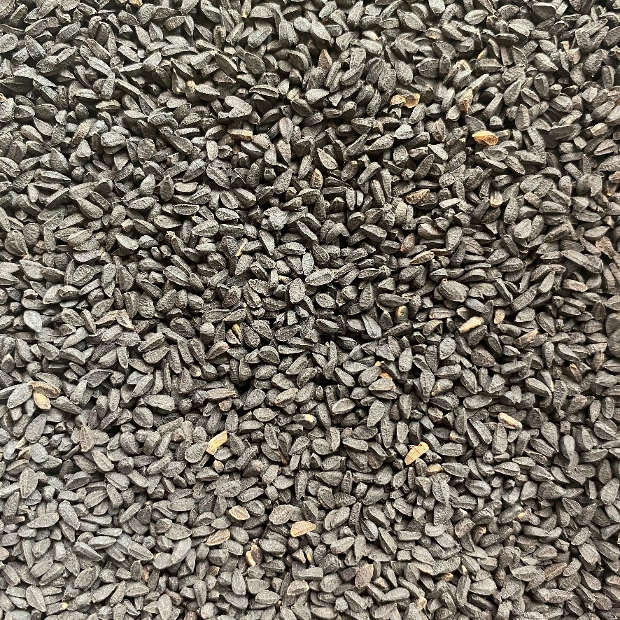 Nigella Seed