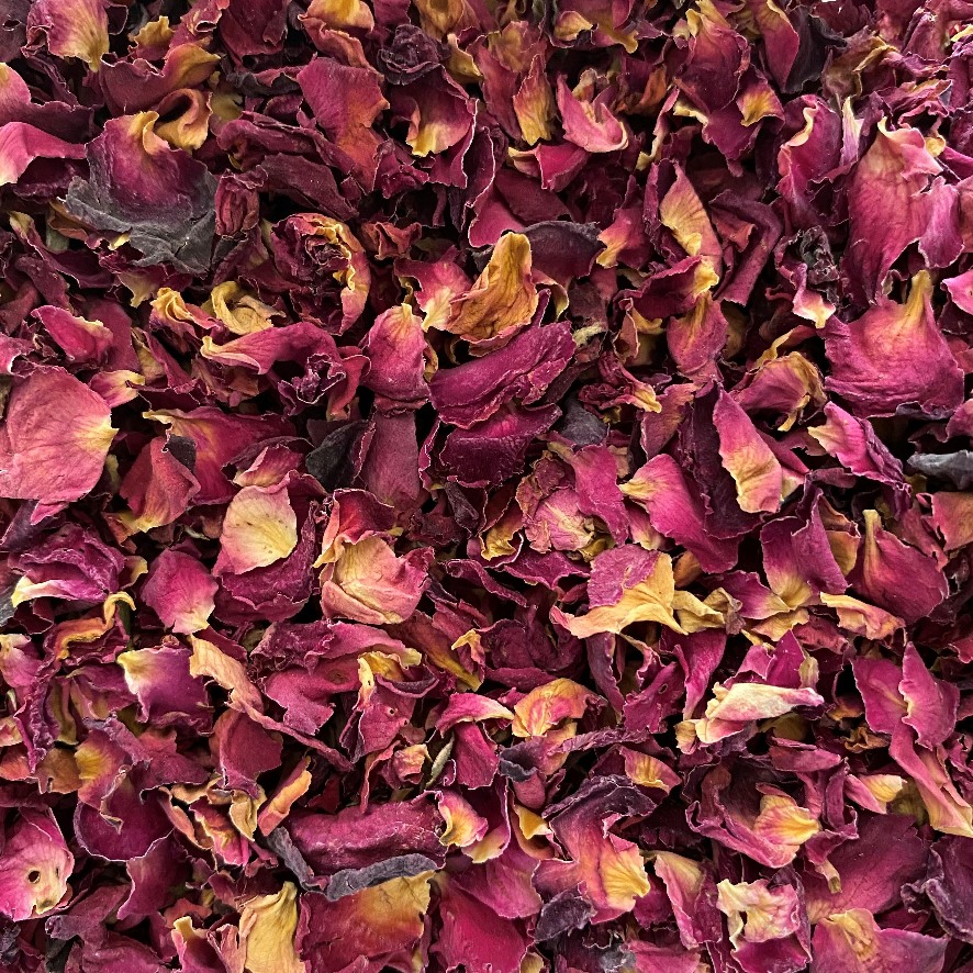 Rose Petals - Red/Pink