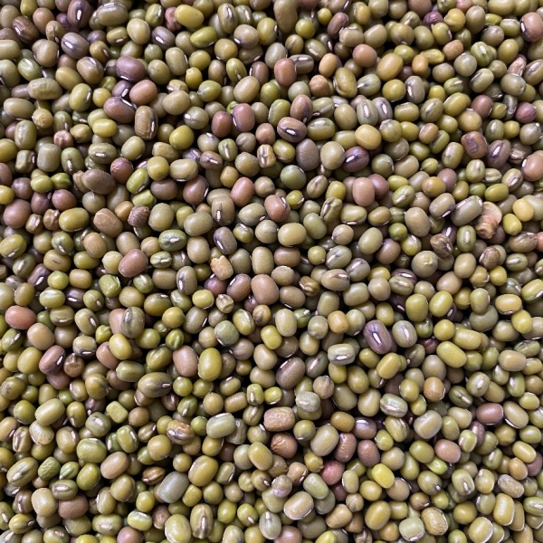 Mung Beans