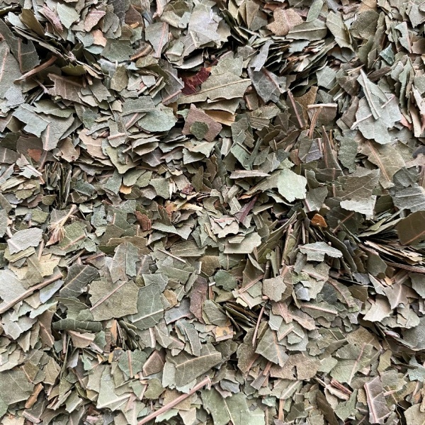 Neem Leaves