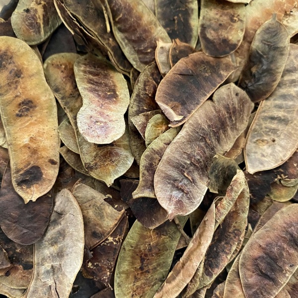 Senna Pods