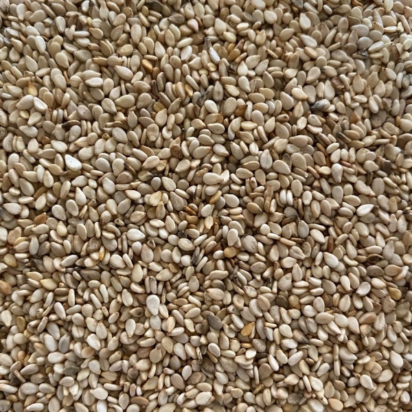 Sesame Seeds