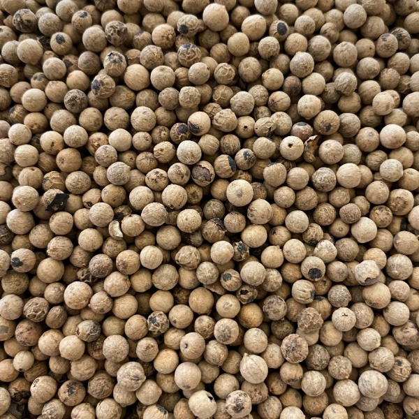 White Peppercorns